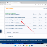 InfranView를 이용하여 이미지를 WebP 형식으로 변환하는 방법