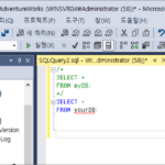 SQL Server / Query / 주석