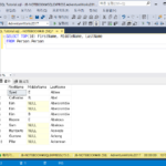 SQL Server / 논리 연산자 / IN, NOT IN