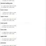 CSS / Reference / list-style-type