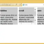 CSS / Reference / overflow